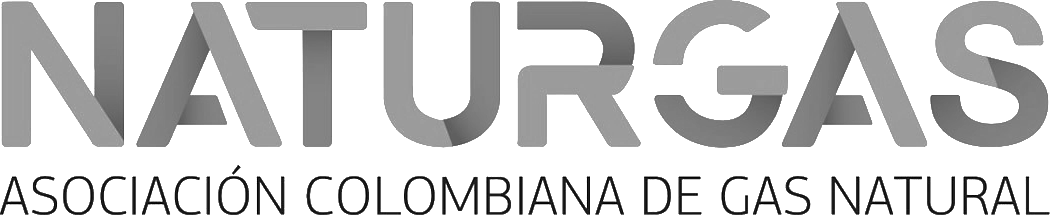 Logo_Naturgas